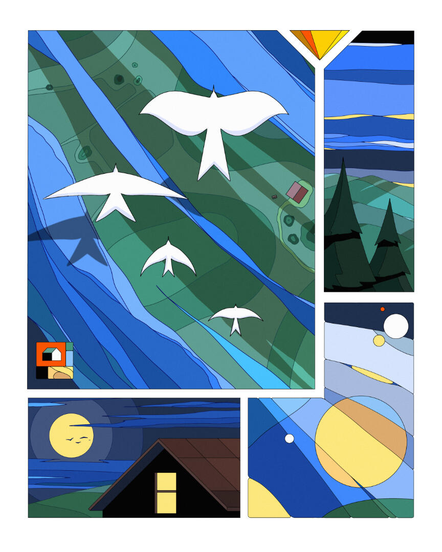 Une illustration de Lucas Saenger, représentant un vol d'oiseau dans une composition en cases.
